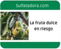 Agricultores de fruta dulce exigen medidas urgentes para el control de plagas y enfermedades