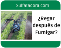 ¿Se puede regar después de fumigar?