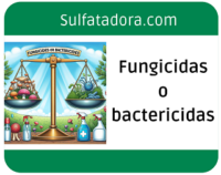 Diferencias entre fungicidas y bactericidas