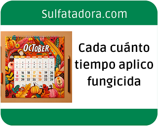 calendario aplicar fungicida