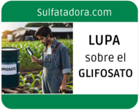 La lupa sobre el Glifosato