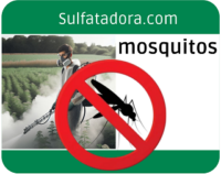 Estrategias Efectivas para Eliminar Mosquitos en el Exterior y Mantener un Jardín Libre de Plagas