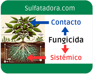 fungicida sistemico